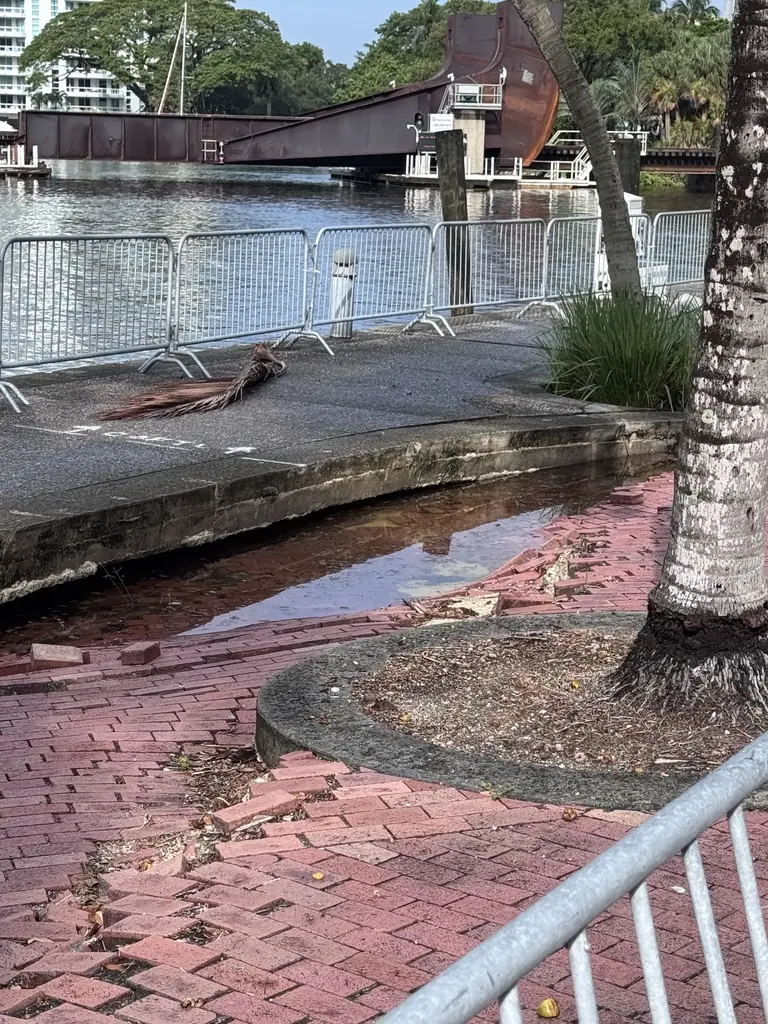 Close-up of displaced pavers and standing water behind the seawall cap.